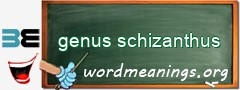 WordMeaning blackboard for genus schizanthus